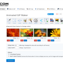 SMARTERS v3.1.5 - Gif Logo Smarters