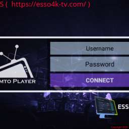 Femto Player 1.2.0 with DNS Panel - Screenshots inside!
